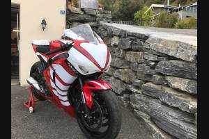 Lackierte Rennverkleidung Honda Cbr 1000 RR 2008 - 2011 - MXPCRV7261