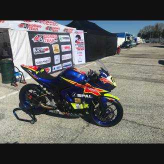 Carene Racing Verniciate Yamaha R3 2015 - 2018 - MXPCRV7327