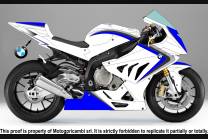 Carene Racing Verniciate Bmw S1000 RR 2015 - 2018 - MXPCRV7334