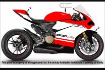 Carene Racing Verniciate Ducati 1299 959 Panigale - MXPCRV7339