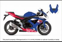 Painted Race Fairings Suzuki Gsxr 600/750 2008 -2010 - MXPCRV7344