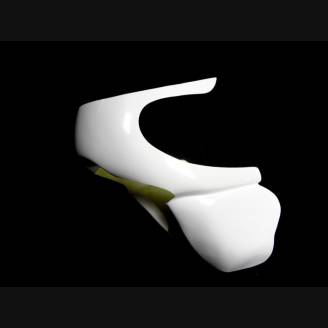 Carene Anteriore come da foto Vers.1