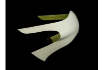 Carene Anteriore come da foto 2