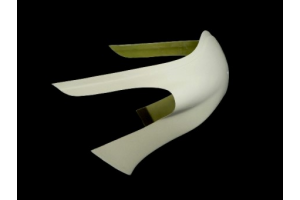 Carene Anteriore come da foto