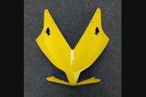 Carénages en abs complets et peints HND CBR 1 C HRCSP 2