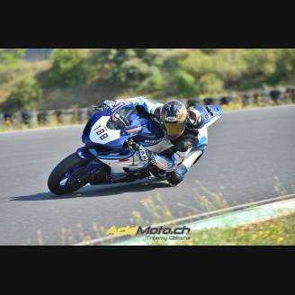 Complete and painted fairings 30° anniversary