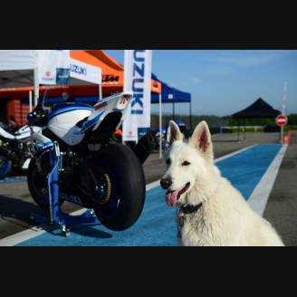 Carénages peinture 30°anniversario