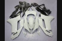Complete and painted fairings in abs KWS 600 07 08 WHT