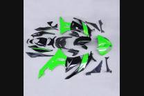 Complete and painted fairings in abs KAW 636 BLKJ