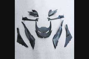 ABSVerkleidungen Komplet und lackierten KAW 636 BLKJ