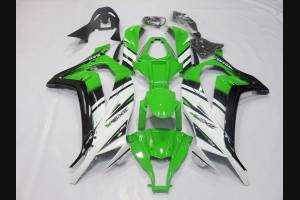 Complete and painted fairings in abs SBK15JR 