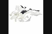 Complete and unpainted fairings in abs with front fender 2