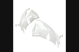 Complete and unpainted fairings in abs with front fender 