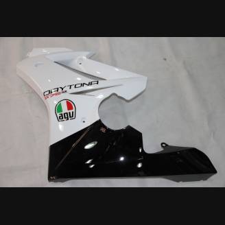 Complete and painted fairings in abs WTKU 