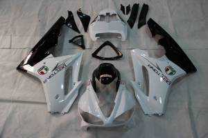 Complete and painted fairings in abs WTKU 