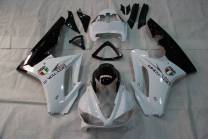Complete and painted fairings in abs WTKU 