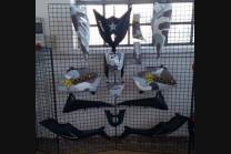 Carene stradali in abs verniciate compatibili con Yamaha T Max 530 2015 - 2016 - MXPCYT7552