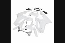 Complete and unpainted fairings in abs with front fender 2