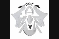 Complete and unpainted fairings in abs with front fender 