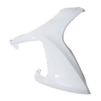 Verkleidungen abs mit Kotflugel zu lackieren