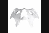 Verkleidungen mit Kotflugel 2