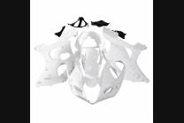 Complete and unpainted fairings in abs with front fender 