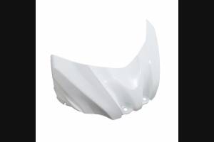 Carenados abs completo con guardabarros da barnizar 