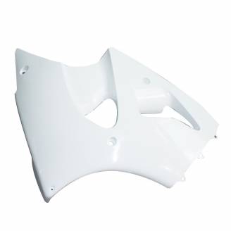 Verkleidungen abs mit Kotflugel zu lackieren