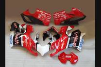 Carene ABS Verniciate Ducati Panigale V4 per scarico Akrapovic DUCV4AR17