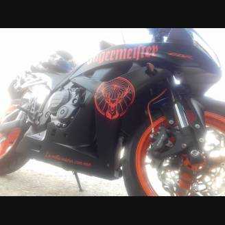 Carene in abs complete e verniciate HND CBR 6 G JAM