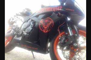 Complete and painted fairings in abs HND CBR 6 G JAM 