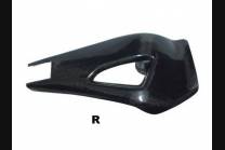 Carbon swingarm cover 2