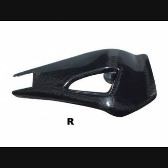 Bras oscillant carbone couvrir