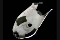 cache réservoir integrale 2