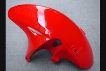 Complete and painted fairings in abs HND CBR 6CF BL 2