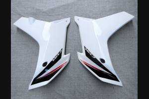 Carénages en abs complets et peints HND CBR 6CF BL