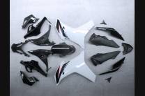 Complete and painted fairings in abs HND CBR 6CF REW 