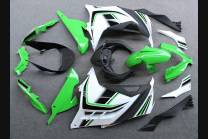Complete and painted fairings in abs KWS 300 REA 