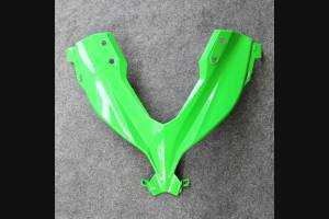 Carenage complet que les photos KWS 300 REA