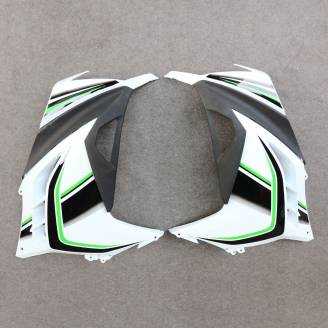 Carenage complet que les photos KWS 300 REA