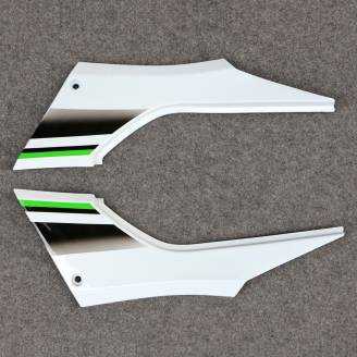 Carenage complet que les photos KWS 300 REA