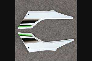 Carenage complet que les photos KWS 300 REA