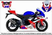 carenado completo con guardabarros Barnizado GSX107 BLRED