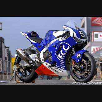 Complete and painted fairings HND10PESFR