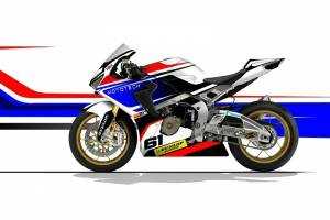 Verkleidungen Motorrad Lackiert HND10PESFR