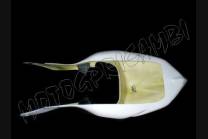 Verkleidungen ohne Kotflugel racing - MXPCRD1017 2