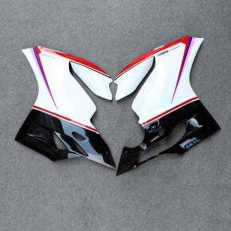 Complete and painted fairings in abs DUC99 SPL2