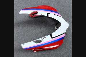 Complete and painted fairings in abs DUC99 SPL2