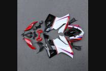 Fairings ABS Lackiert street DUC99 DUC99 SPL2