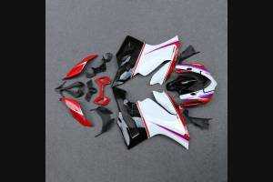 Complete and painted fairings in abs DUC99 SPL2
